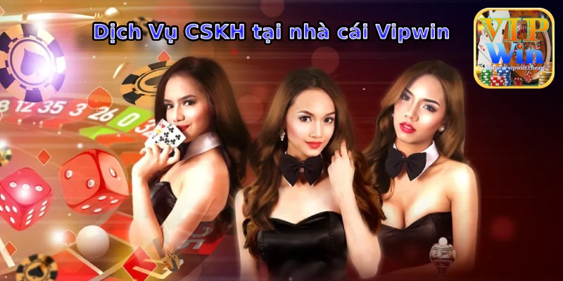 CSKH Vipwin Hỗ Trợ Nhiệt Tình 24/7