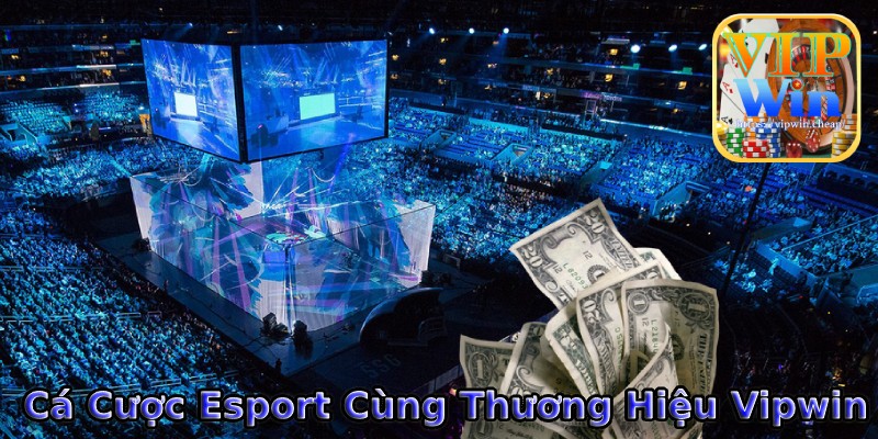 Cá Cược Esport