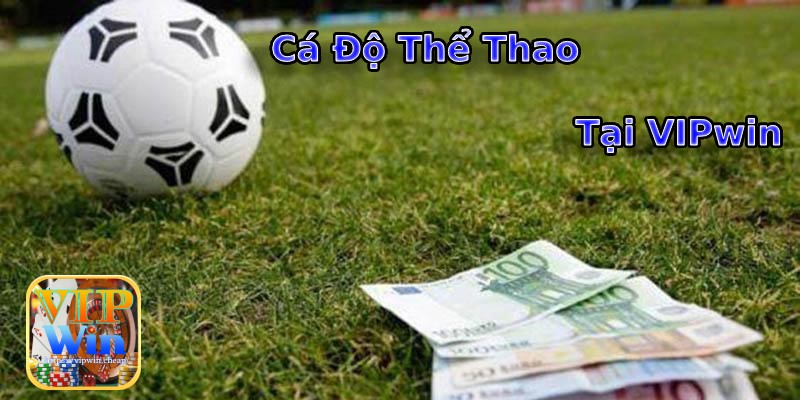 Cá Cược Thể Thao Xanh Chín Tại Nền Tảng Vipwin