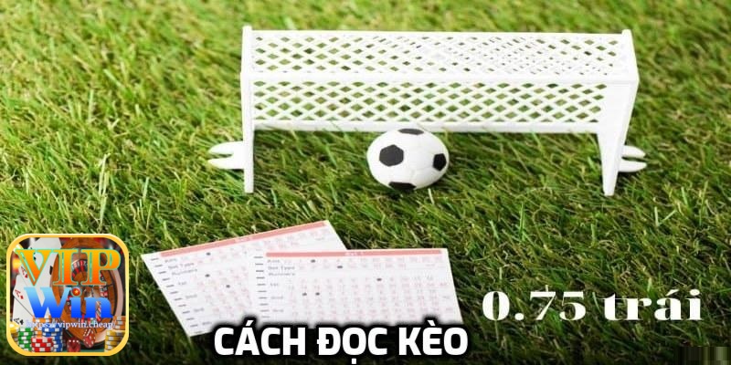 Cách đọc kèo cho tân thủ