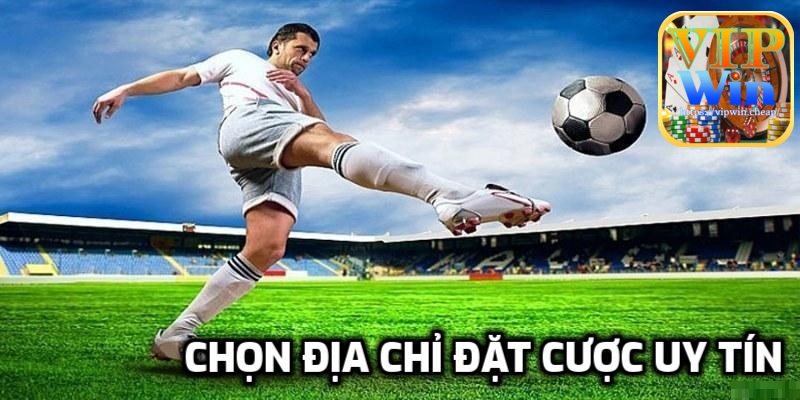 Chọn địa chỉ cá cược uy tín