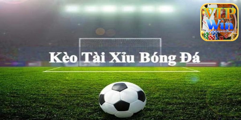 Soi kèo tài xỉu chuẩn