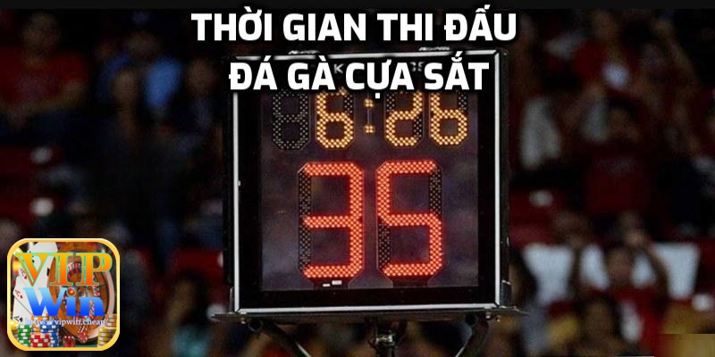 Thời gian thi đấu của một trận đá gà