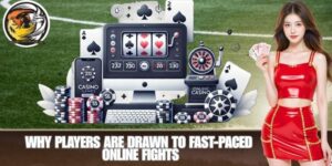 Why Players Are Drawn to Fast-Paced Online Fights