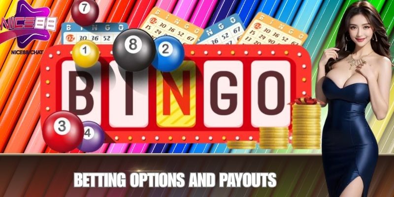 Betting Options and Payouts
