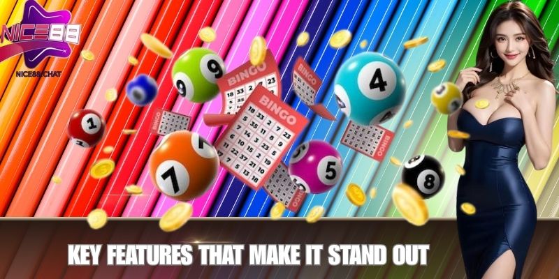 Key Features That Make It Stand Out