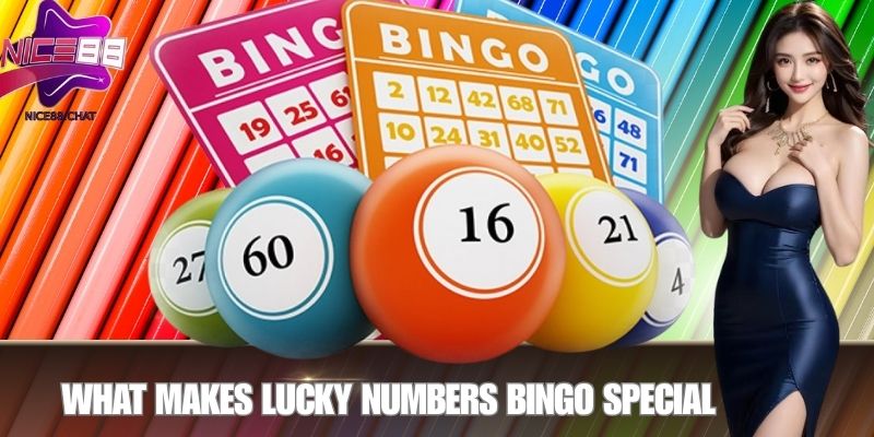 What Makes Lucky Numbers Bingo Special