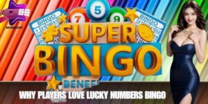 Why Players Love Lucky Numbers Bingo