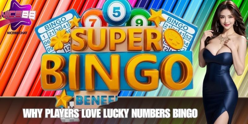 Why Players Love Lucky Numbers Bingo